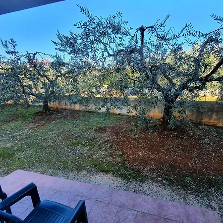 Guest house Labinac In Vabriga With Garden Close To Sea Tar-Vabriga
